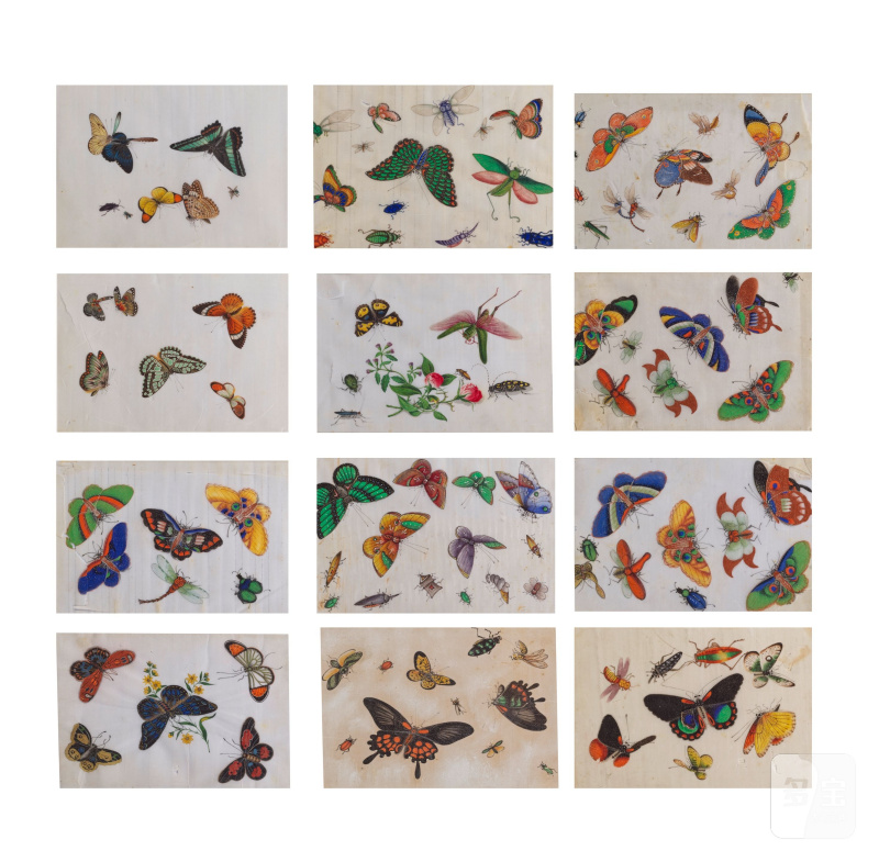 中國畫家 十九世紀 蝶蟲圖一組十二幅 水粉紙本 鏡框 | CHINESE ARTIST (19TH CENTURY) - 图14